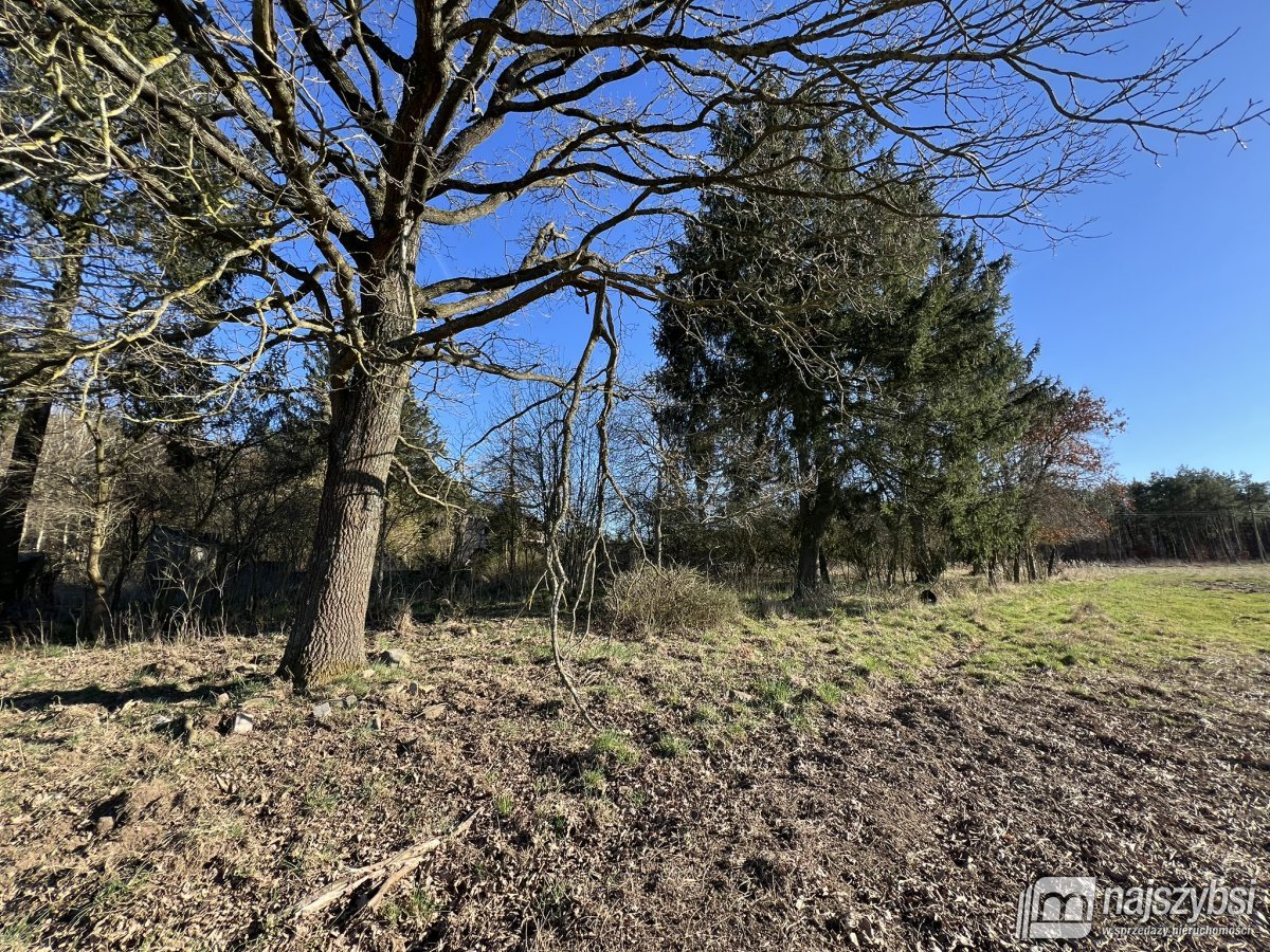 Kiełpino - działka budowlana blisko Hossolandu! (7)