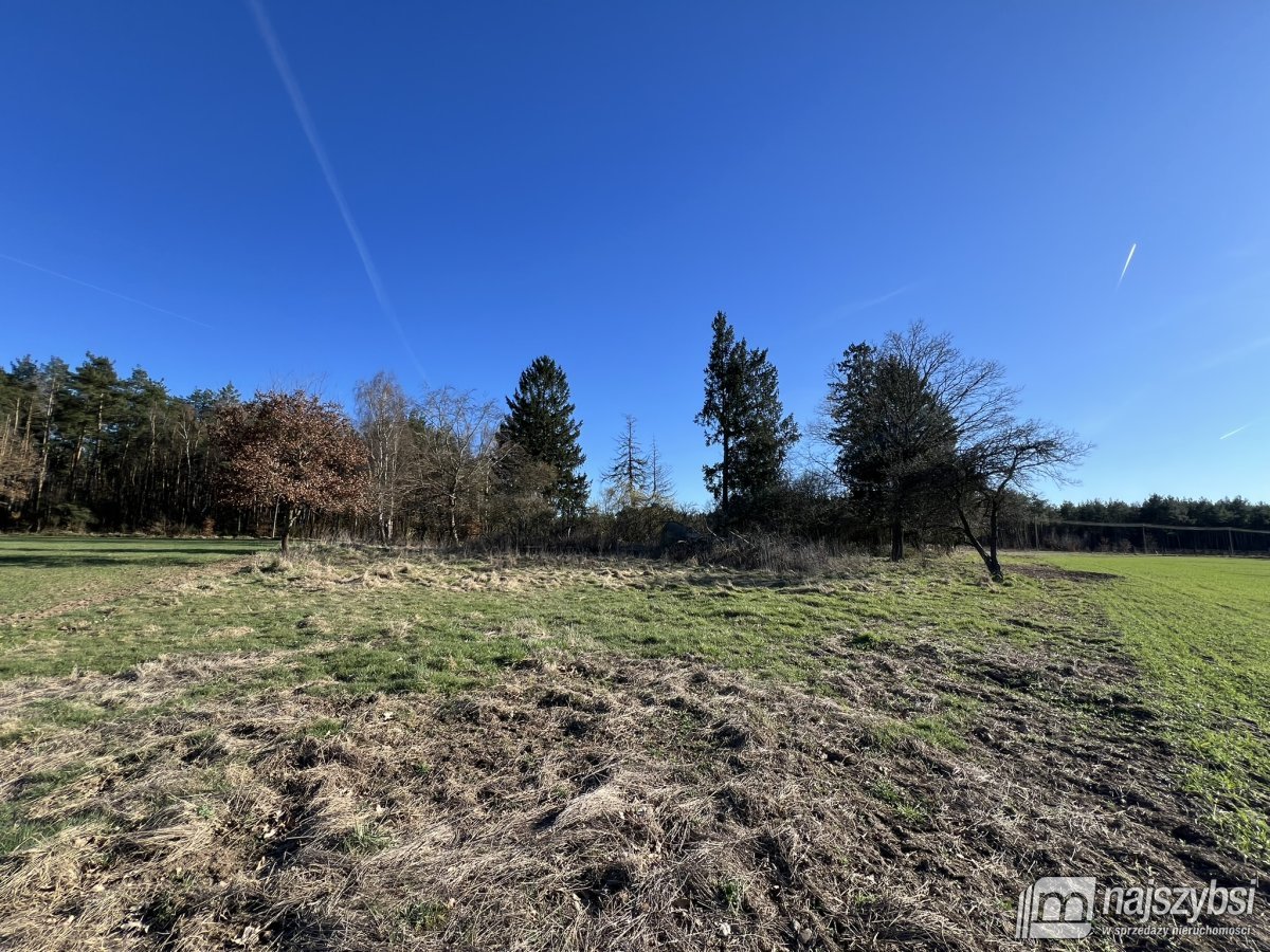 Kiełpino - działka budowlana blisko Hossolandu! (9)