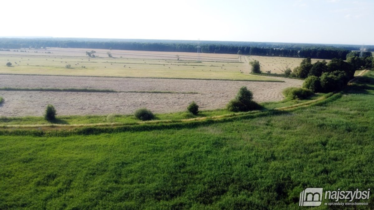 Komarowo, działka rolna - 5,91 ha (10)