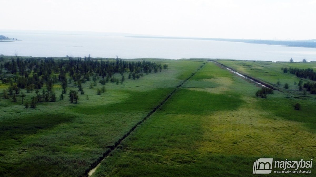 Komarowo, działka rolna - 5,91 ha (12)