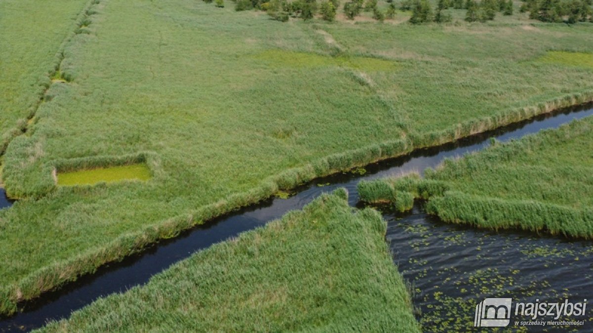 Komarowo, działka rolna - 5,91 ha (15)