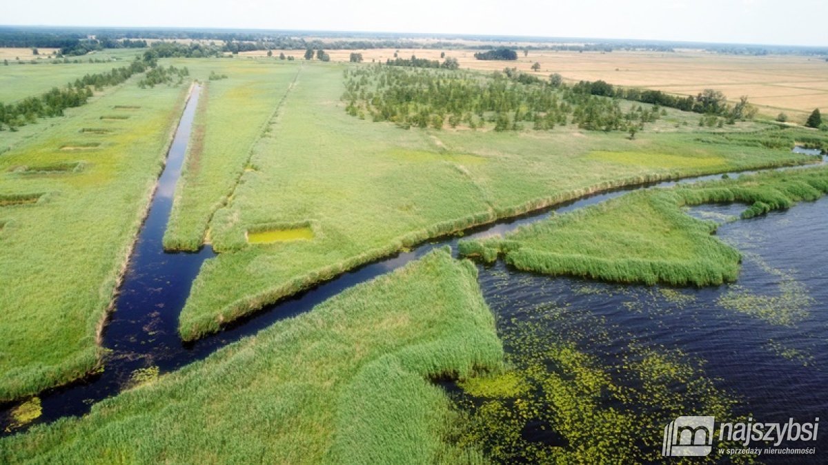 Komarowo, działka rolna - 5,91 ha (16)