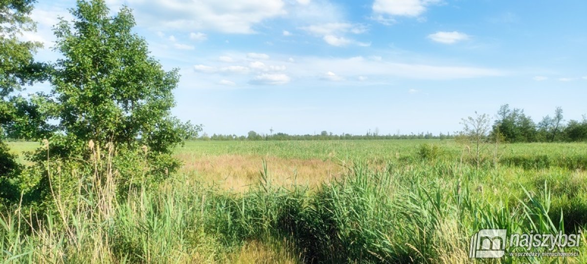 Komarowo, działka rolna - 5,91 ha (20)