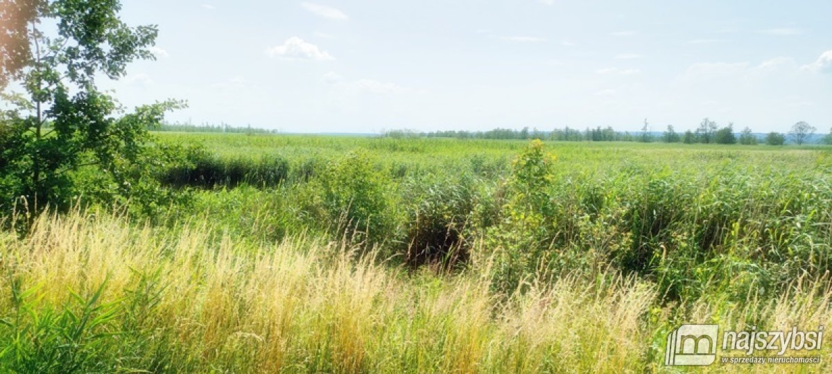 Komarowo, działka rolna - 5,91 ha (21)