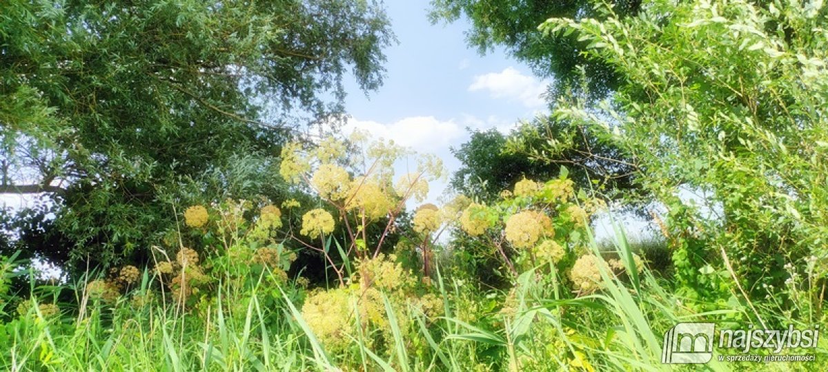 Komarowo, działka rolna - 5,91 ha (22)