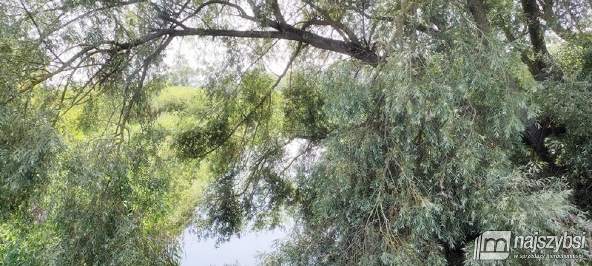 Komarowo, działka rolna - 5,91 ha (23)