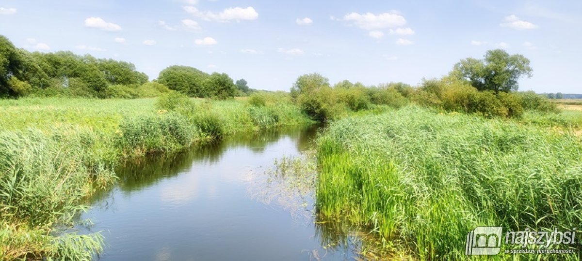 Komarowo, działka rolna - 5,91 ha (24)