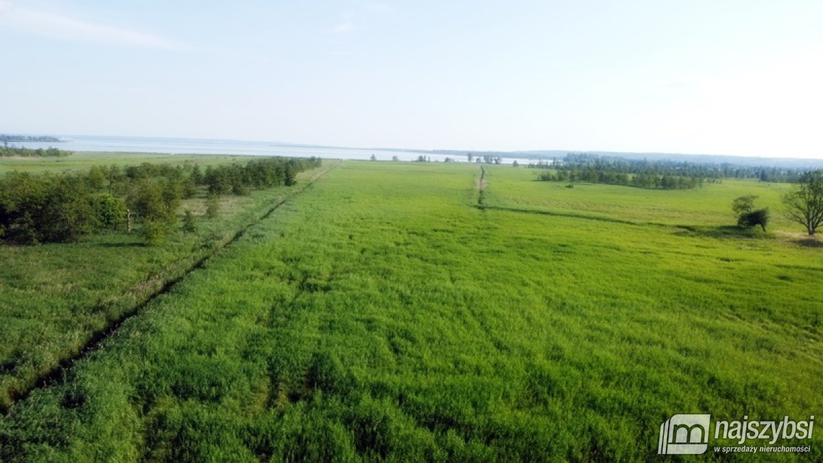 Komarowo, działka rolna - 5,91 ha (5)