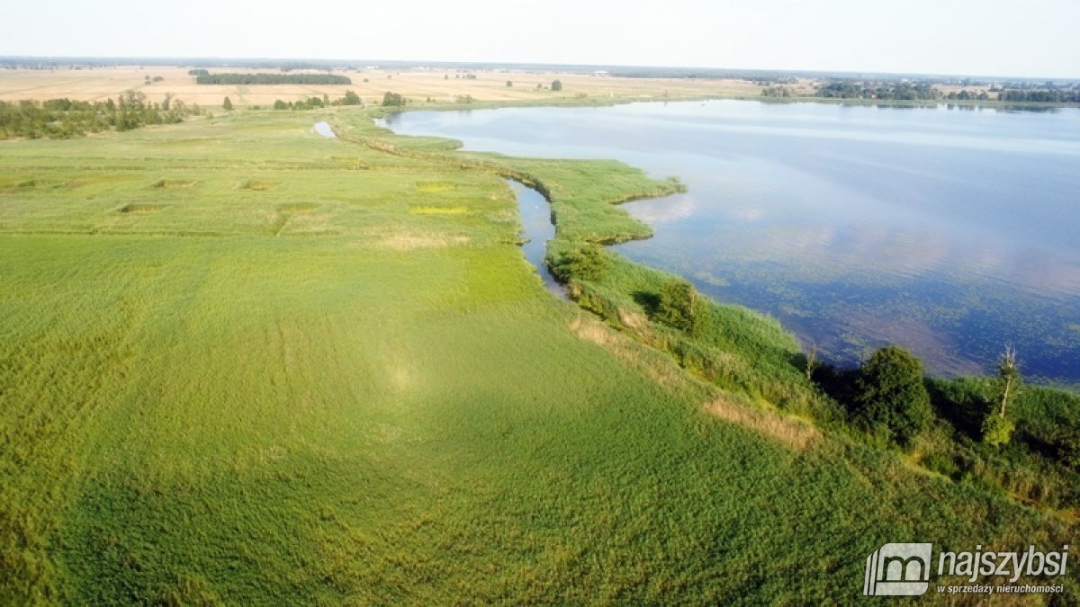 Komarowo, działka rolna - 5,91 ha (6)