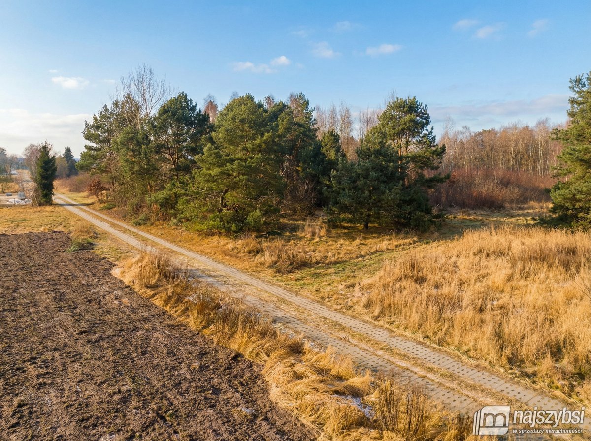 Białuń- duża działka z WZ przy cichej ulicy (2)