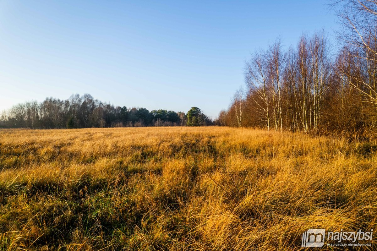 Białuń - duża działka 3215 m2 (8)