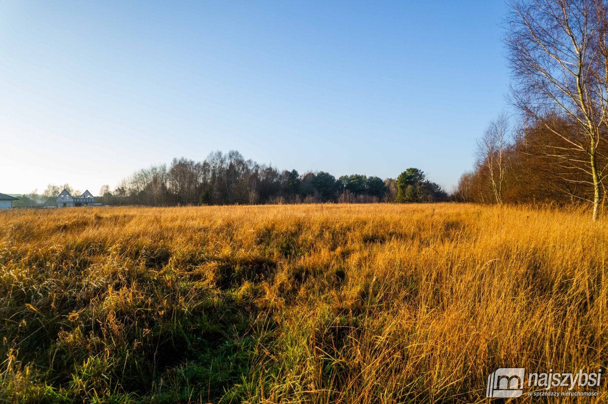 Białuń - duża działka rolna 3176 m2 (17)