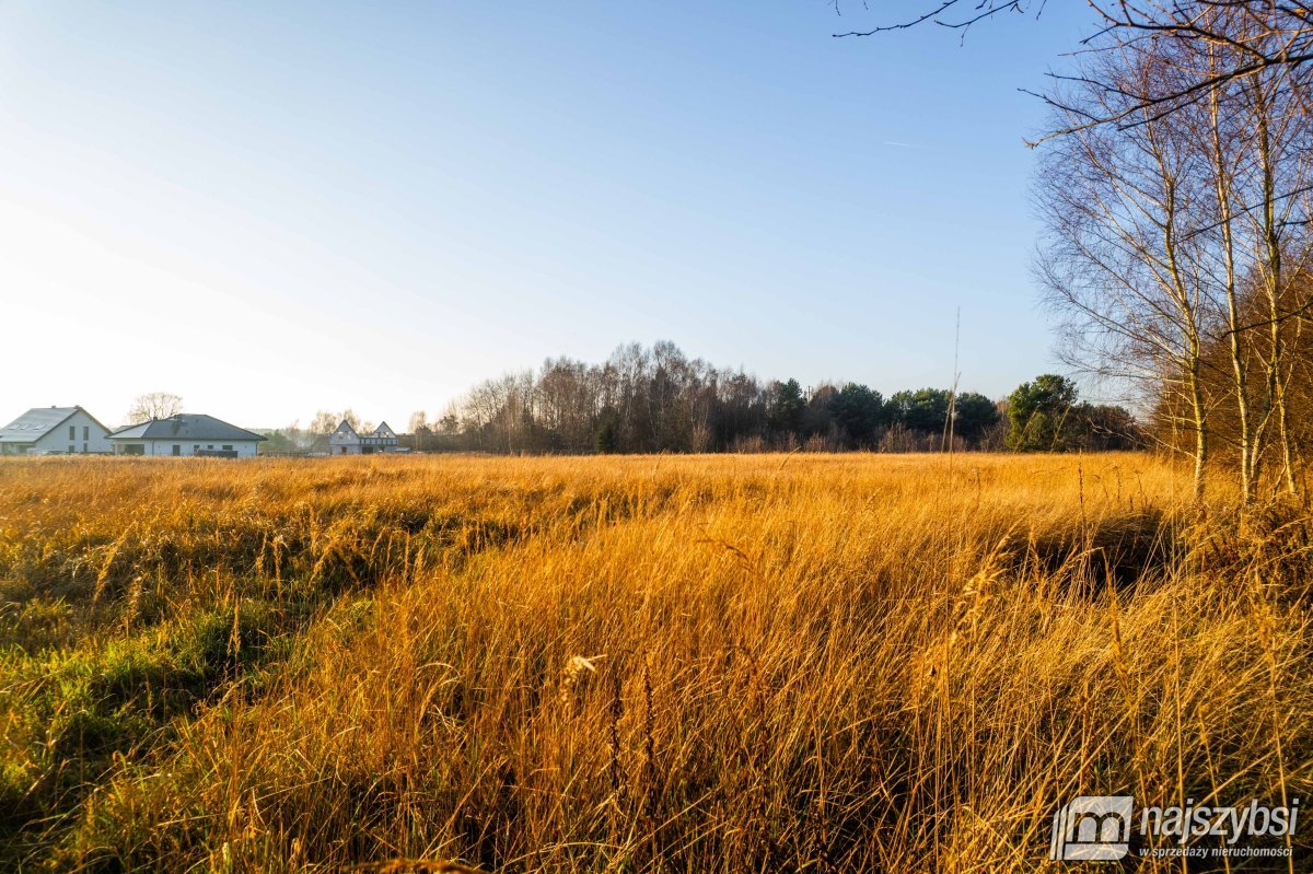 Białuń - duża działka rolna 3176 m2 (6)