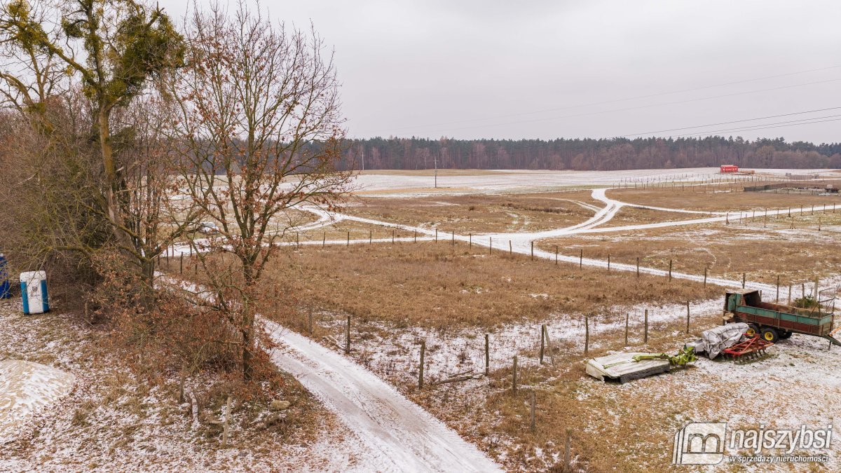 SOSNOWICE- DZIAŁKA W SPOKOJNEJ OKOLICY (6)