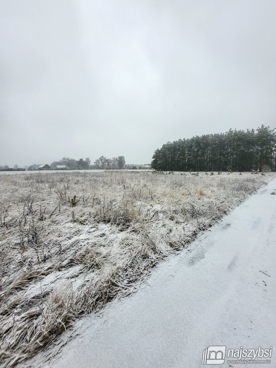 Czermnica - działka w spokojnej okolicy (1)