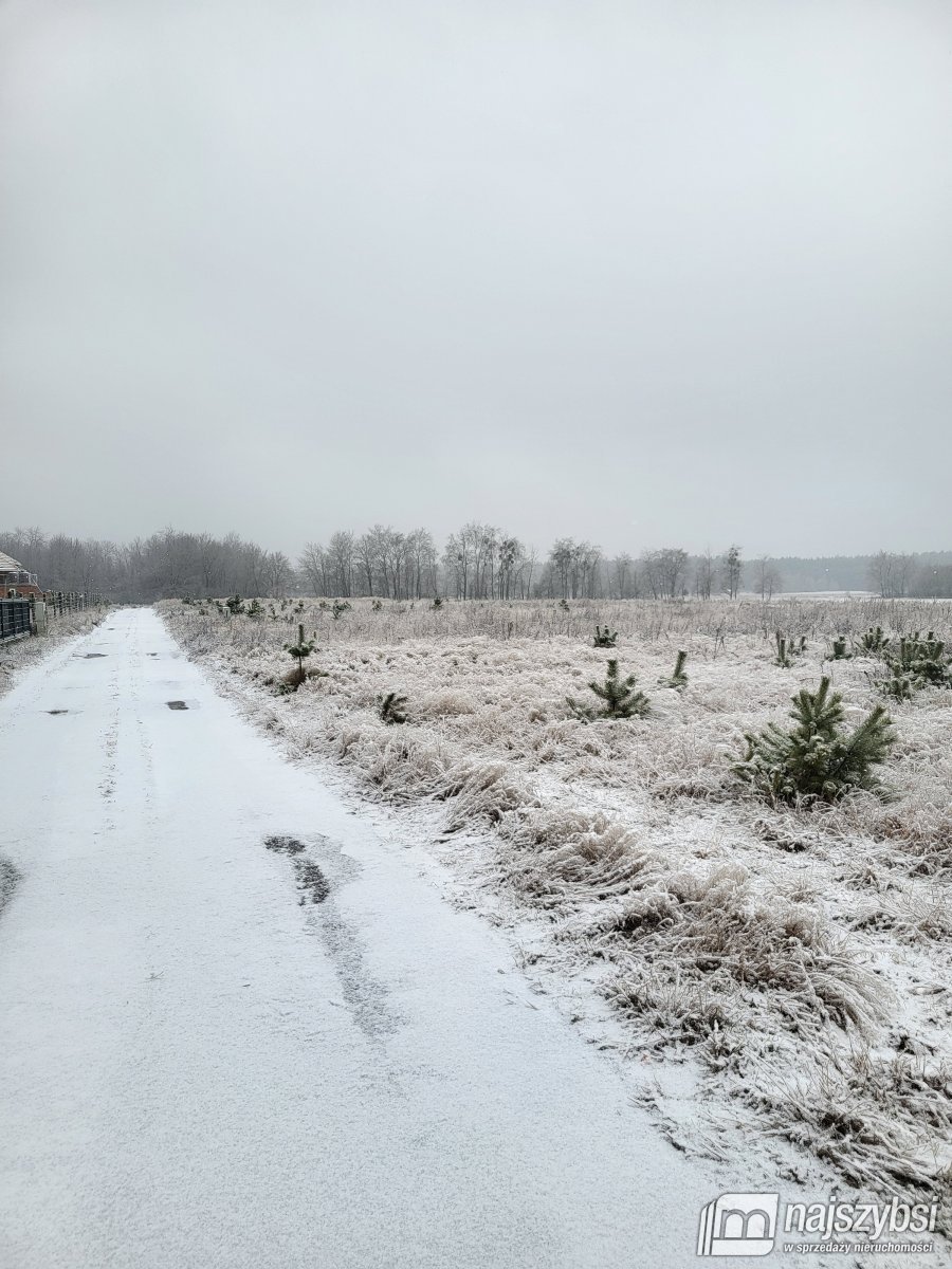 Czermnica - działka w spokojnej okolicy (2)
