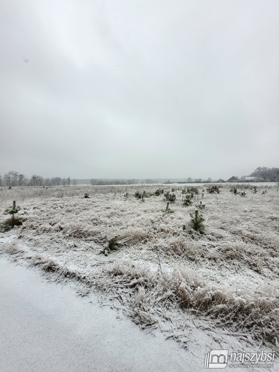Czermnica - działka w spokojnej okolicy (3)