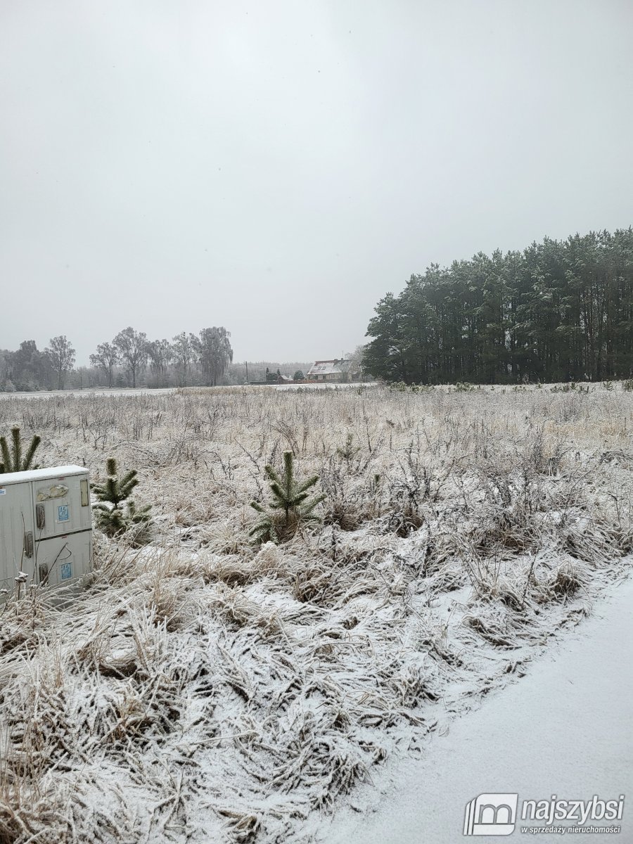 Czermnica - działka w spokojnej okolicy (4)