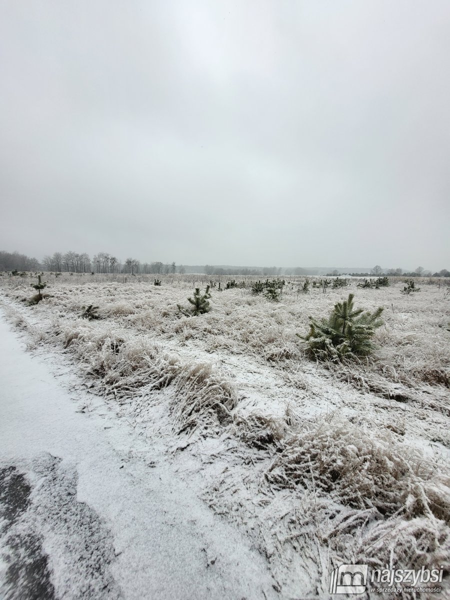 Czermnica - działka w spokojnej okolicy (5)