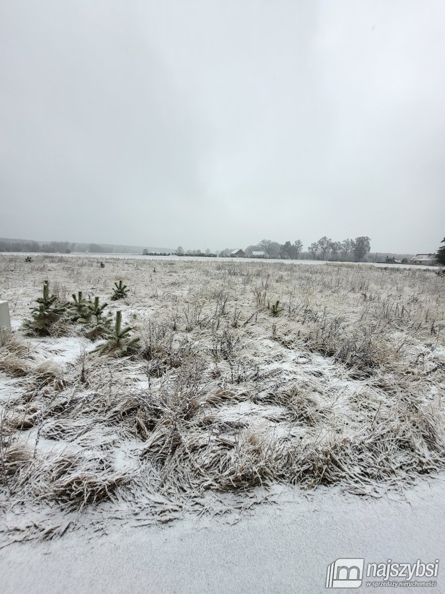 Czermnica - działka w spokojnej okolicy (6)