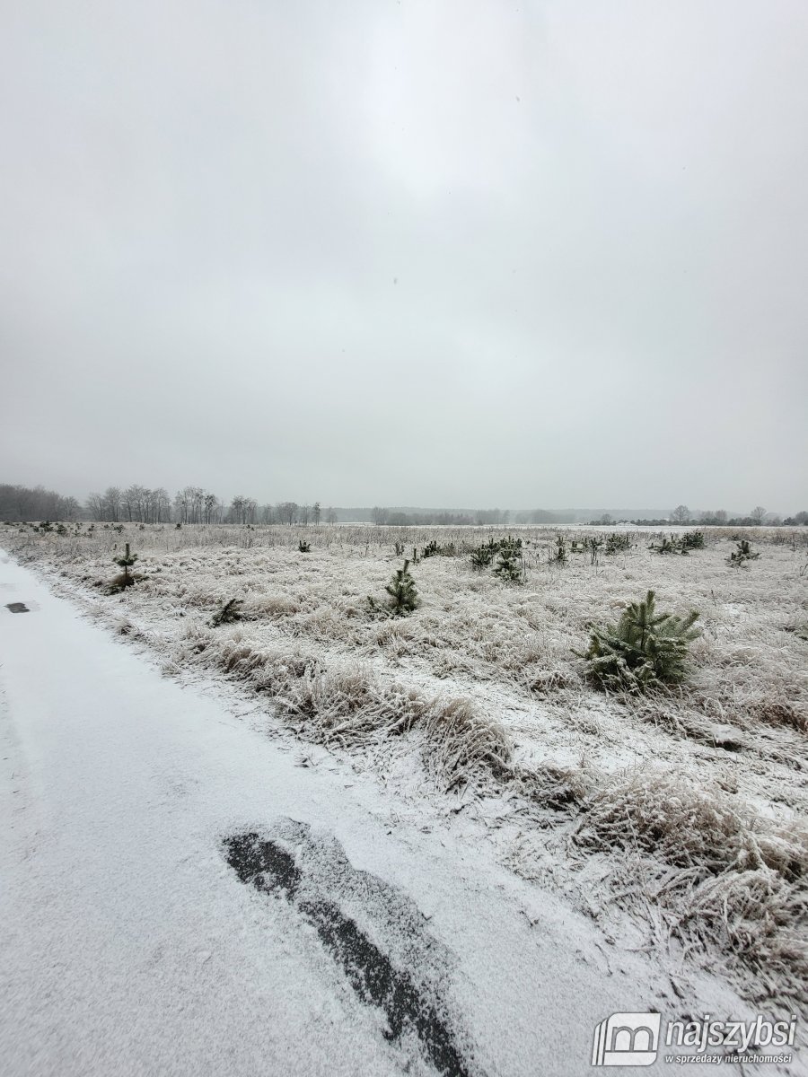 Czermnica - działka w spokojnej okolicy (8)