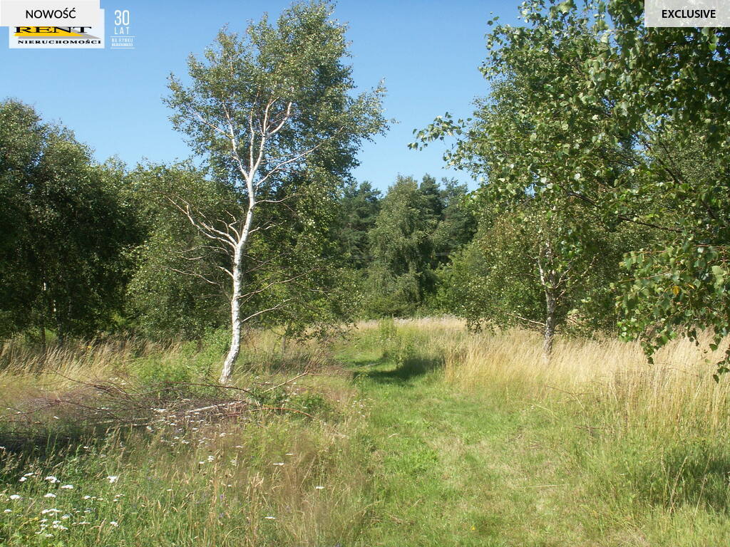 Działki w Radawce k/Dziwnówka i Łukęcina (6)