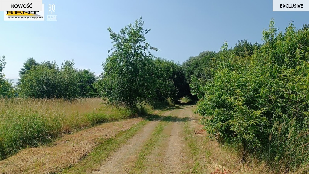 Działki w Radawce k/Dziwnówka i Łukęcina (3)