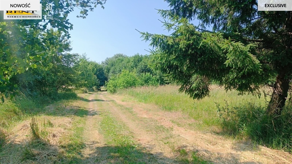 Działki w Radawce k/Dziwnówka i Łukęcina (5)