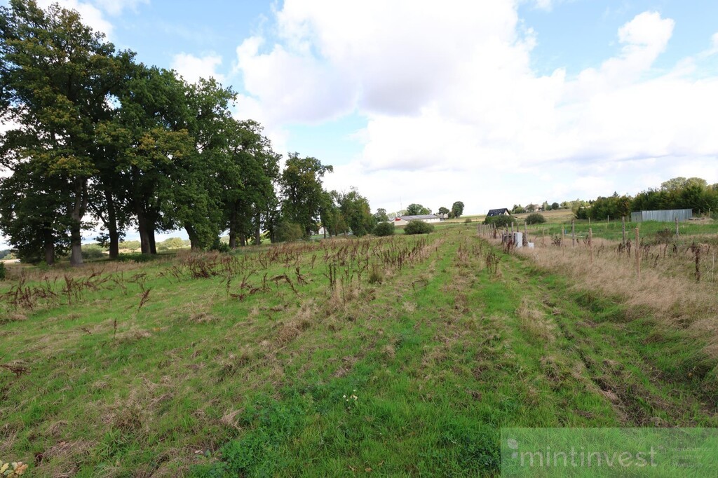 Działka w centrum Dębic (5)