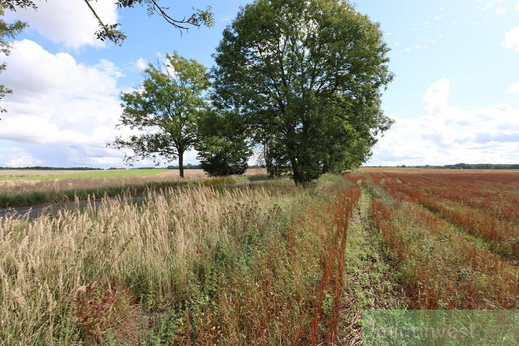 Działka w centrum Dębic (4)