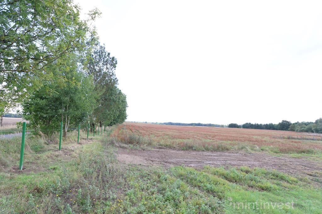 Działka w miejscowości Dębice (2)