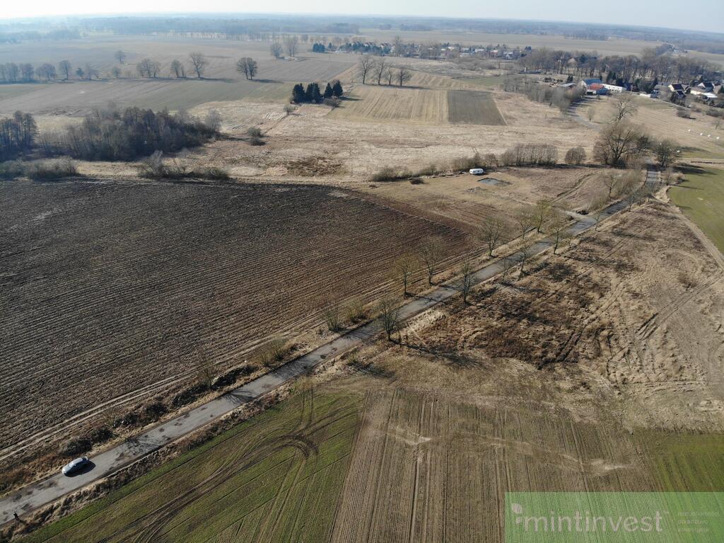 Działka w miejscowości Dębice (2)
