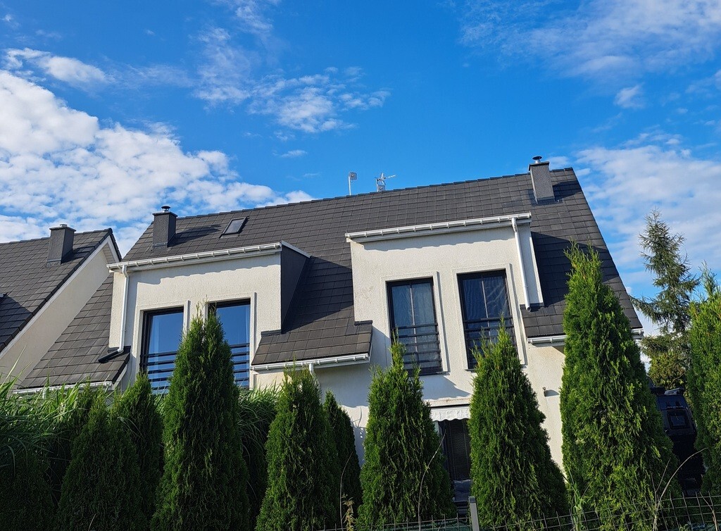 Bliźniak na Mierzynie (3)