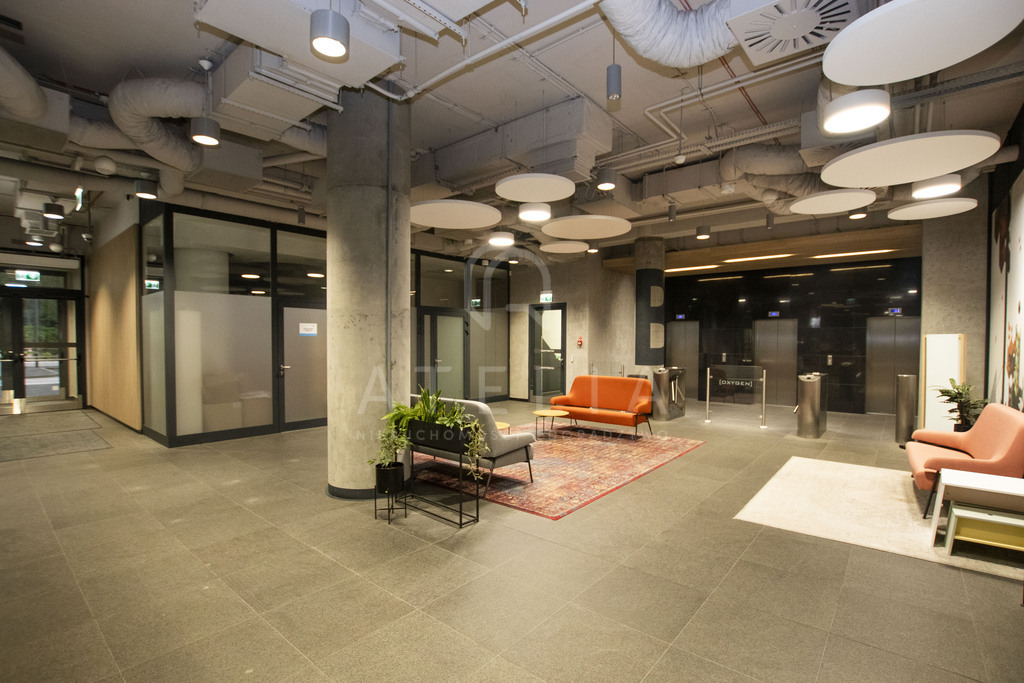 Biura do wynajęcia w Centrum Szczecina (17)