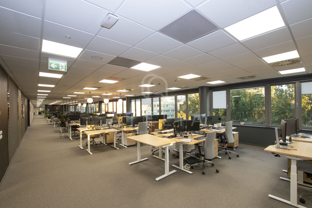 Biura do wynajęcia w Centrum Szczecina (2)