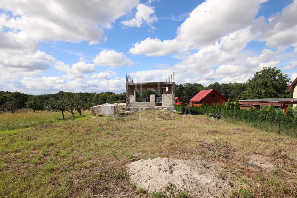 Działka z potencjałem Moryń (6)