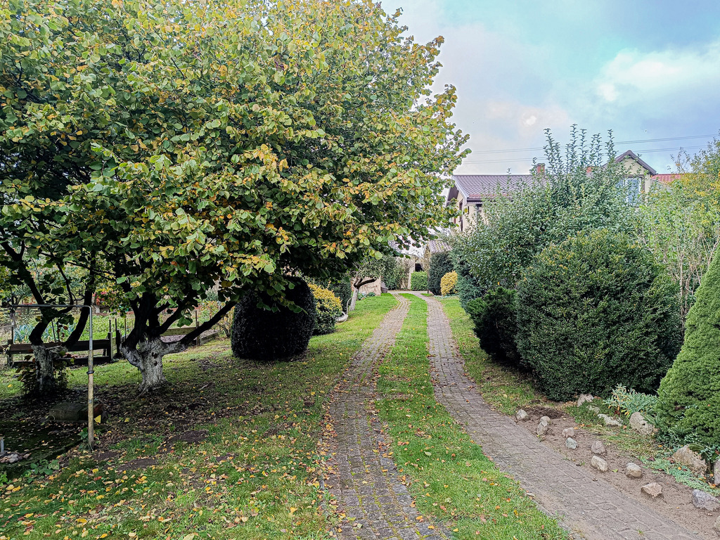 145m2 z wielkim ogrodem 1776m2! Sprawdż! (6)