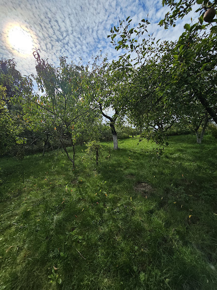 Dwurodzinny dom wolnostojący z przepiękną fasadą (9)