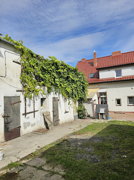 Dwurodzinny dom wolnostojący z przepiękną fasadą (3)