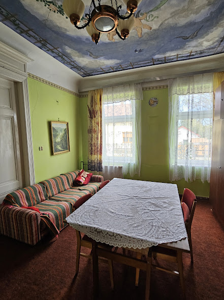 Dwurodzinny dom wolnostojący z przepiękną fasadą (15)