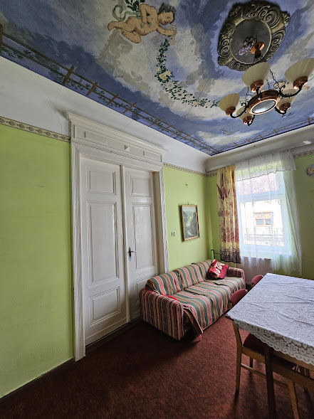 Dwurodzinny dom wolnostojący z przepiękną fasadą (16)