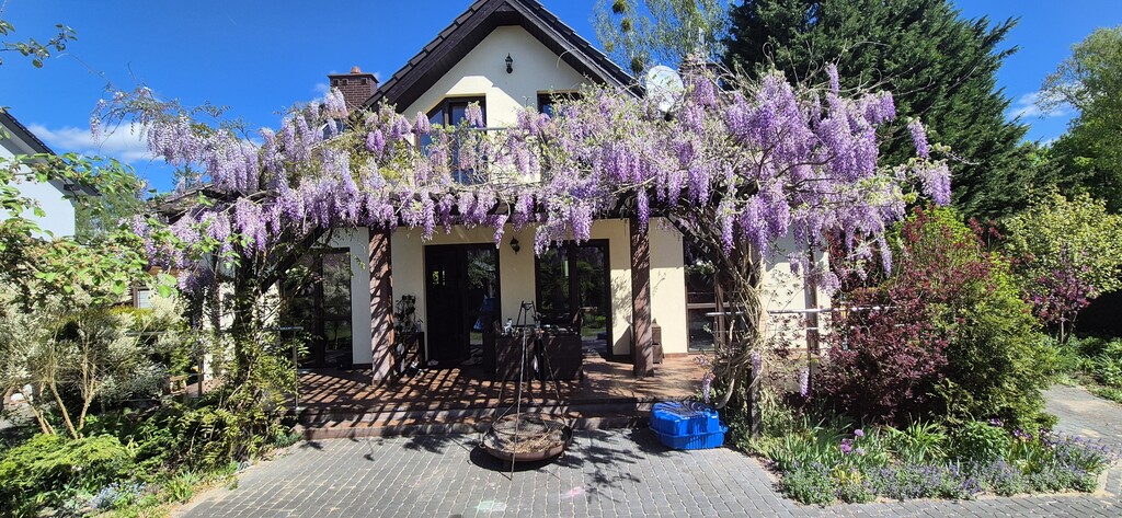 Wolno stojący, 205 m2, Morzyczyn  (2)