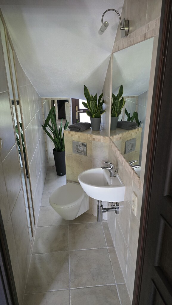 Wolno stojący, 205 m2, Morzyczyn  (21)