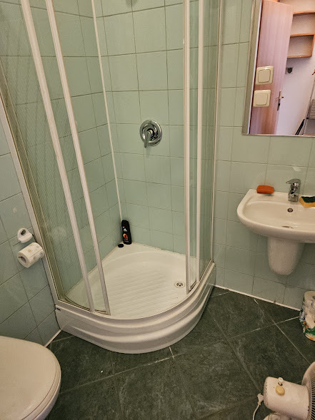 Lokal w centrum miasta (7)