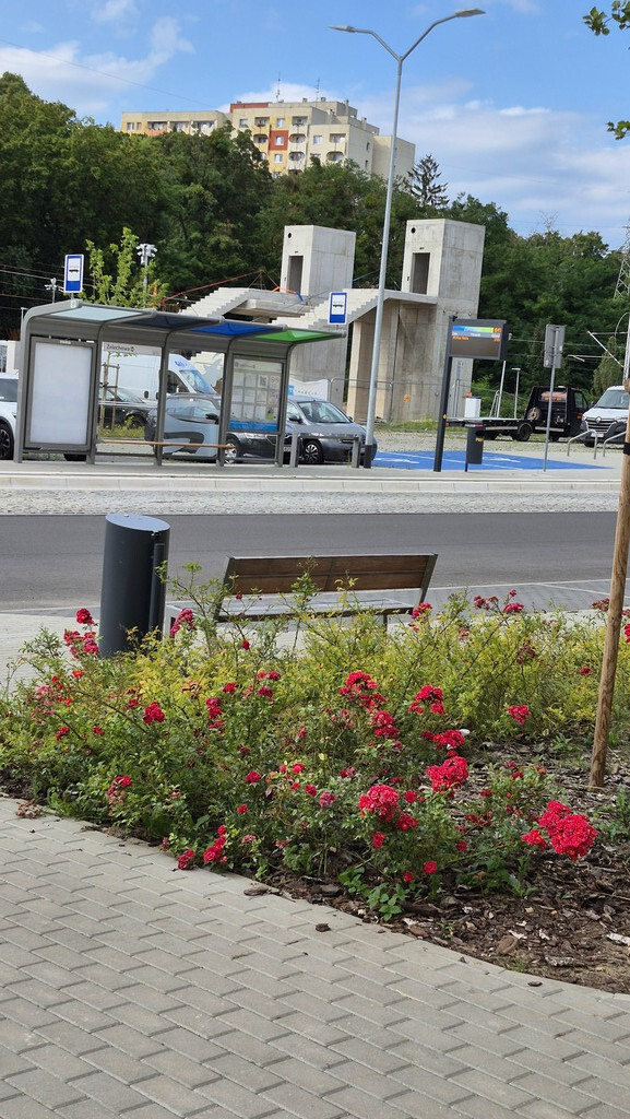 2 pok mieszkanie na parterze ul Grzymińska (20)