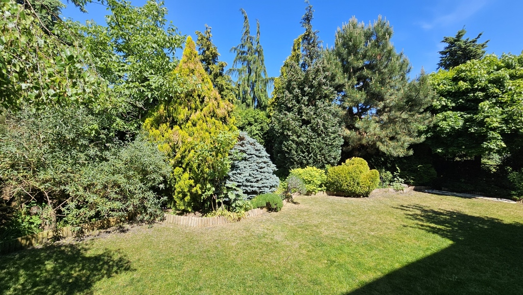 Dom Bezrzecze z wyjściem do lasu (24)