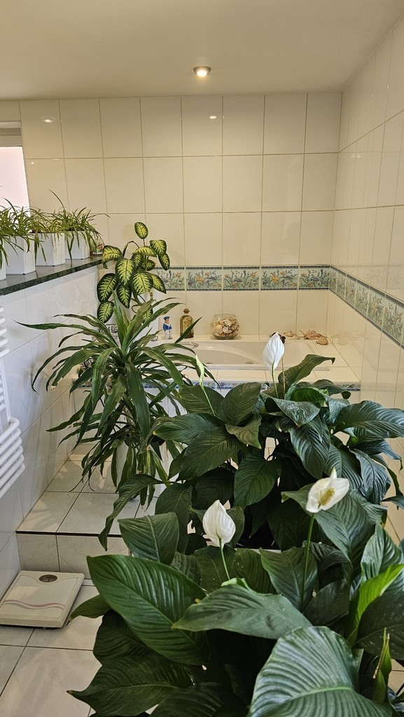 Dom Bezrzecze z wyjściem do lasu (19)