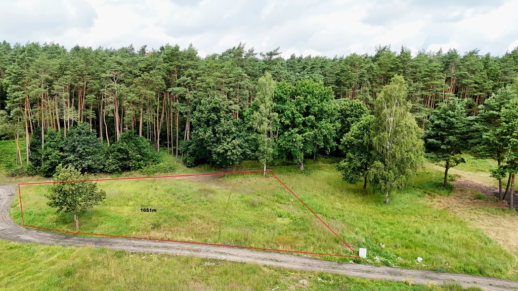 Działka w Dobrej ze ścianą lasu 350 zł/1m2 z WZ (2)