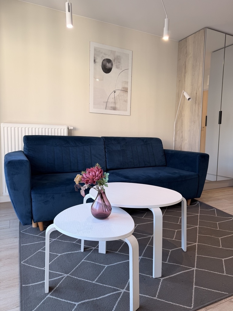 Stylowa kawalerka z balkonem Osiedle Reda City (3)