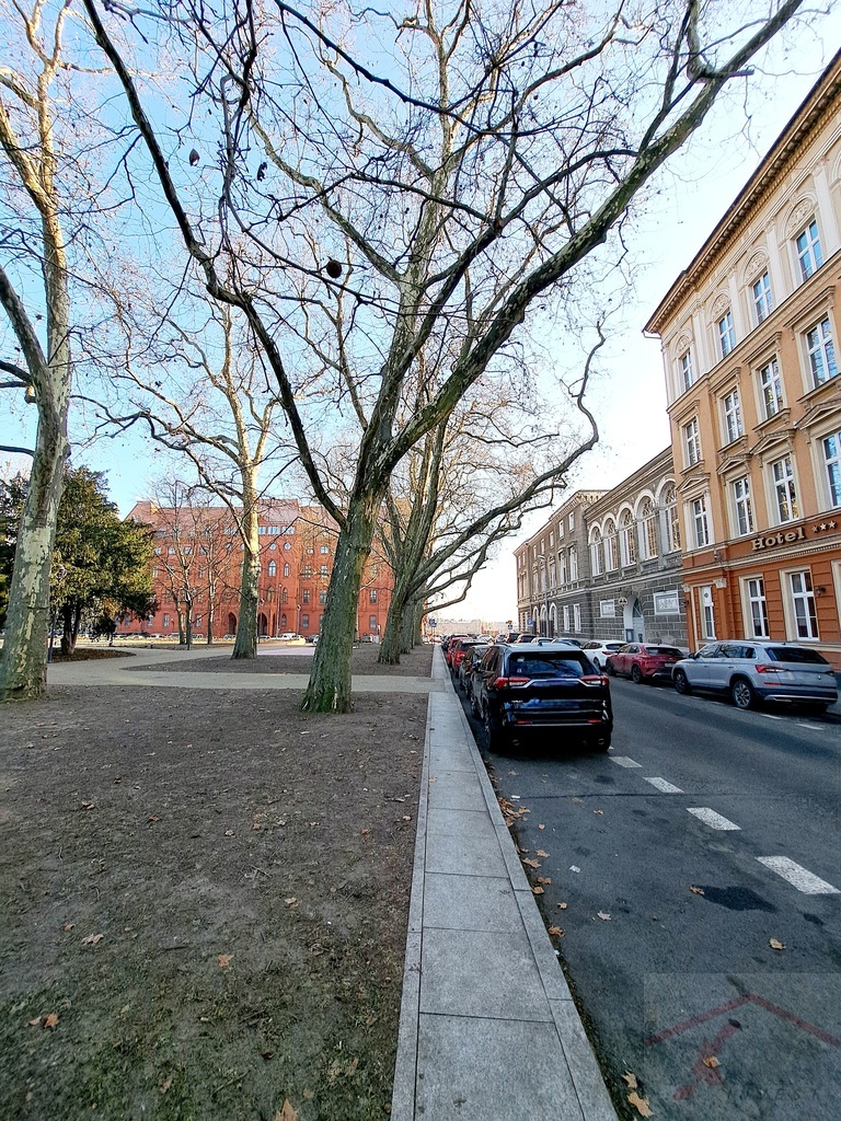 Tanie biuro w świetnej lokalizacji. (10)